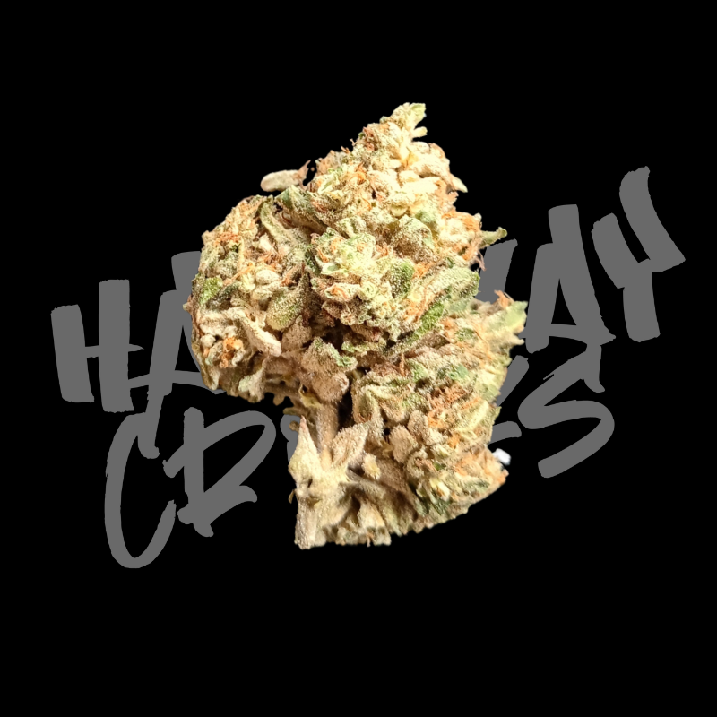 outlaw orange, halfway crooks, cbg flower, flower front, halfway crooks logo back, hemp flower.